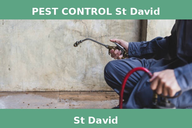 PEST CONTROL St David